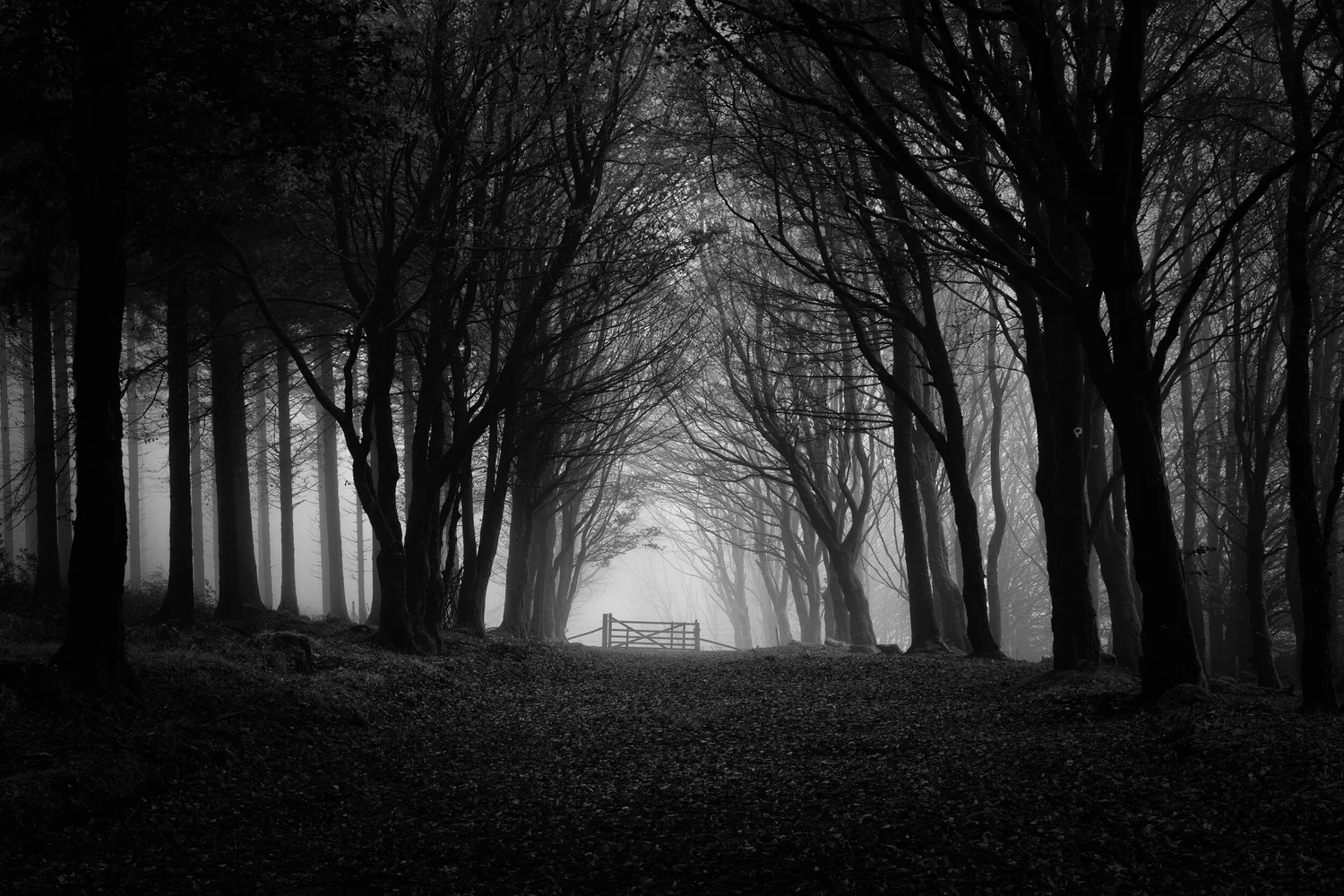 Beyond the Gate