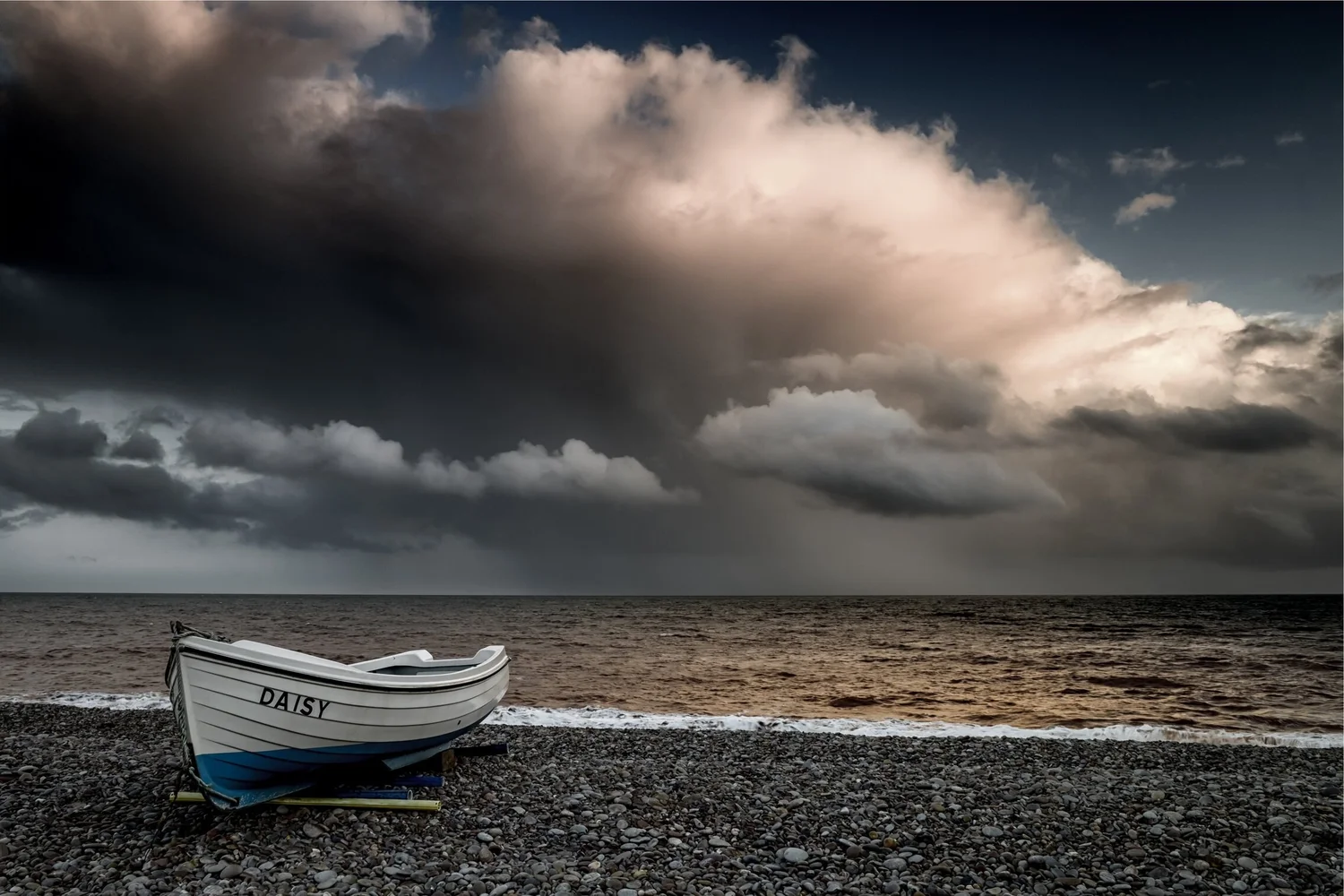 Daisy - Seascape